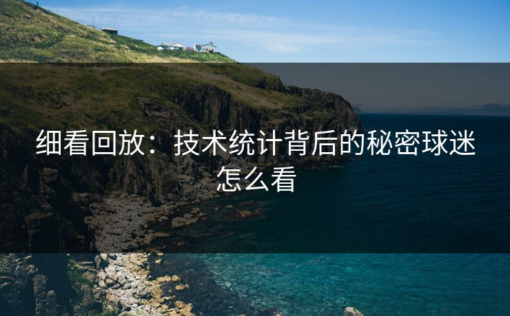 细看回放：技术统计背后的秘密球迷怎么看