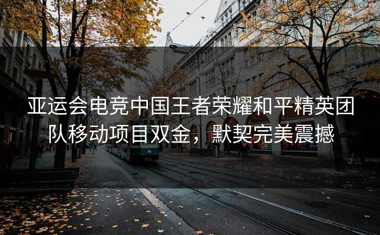 亚运会电竞中国王者荣耀和平精英团队移动项目双金，默契完美震撼