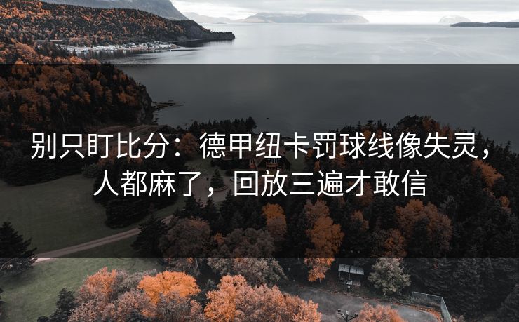 别只盯比分：德甲纽卡罚球线像失灵，人都麻了，回放三遍才敢信